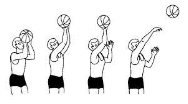 C:\Users\user\Desktop\баскетбол\images (3).jpg